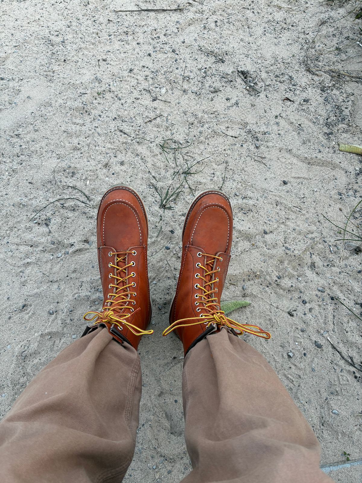 Photo by RedWingUser_05 on September 20, 2025 of the Red Wing 8-Inch Classic Moc in S.B. Foot Oro Legacy.