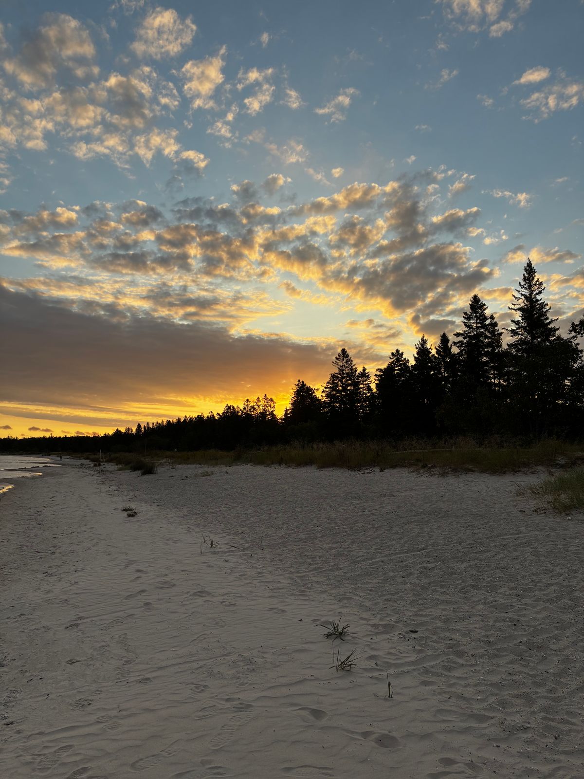 Photo by RedWingUser_05 on September 20, 2025 of the Red Wing 8-Inch Classic Moc in S.B. Foot Oro Legacy.