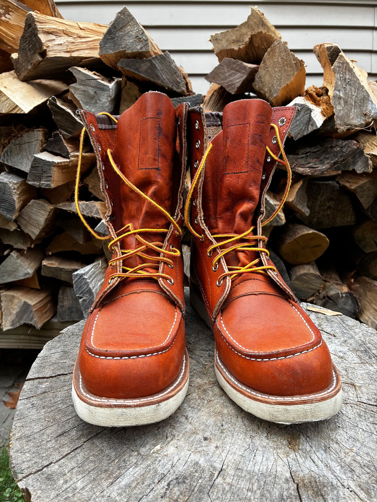 Photo by RedWingUser_05 on November 5, 2025 of the Red Wing 877 in S.B. Foot Oro Legacy.