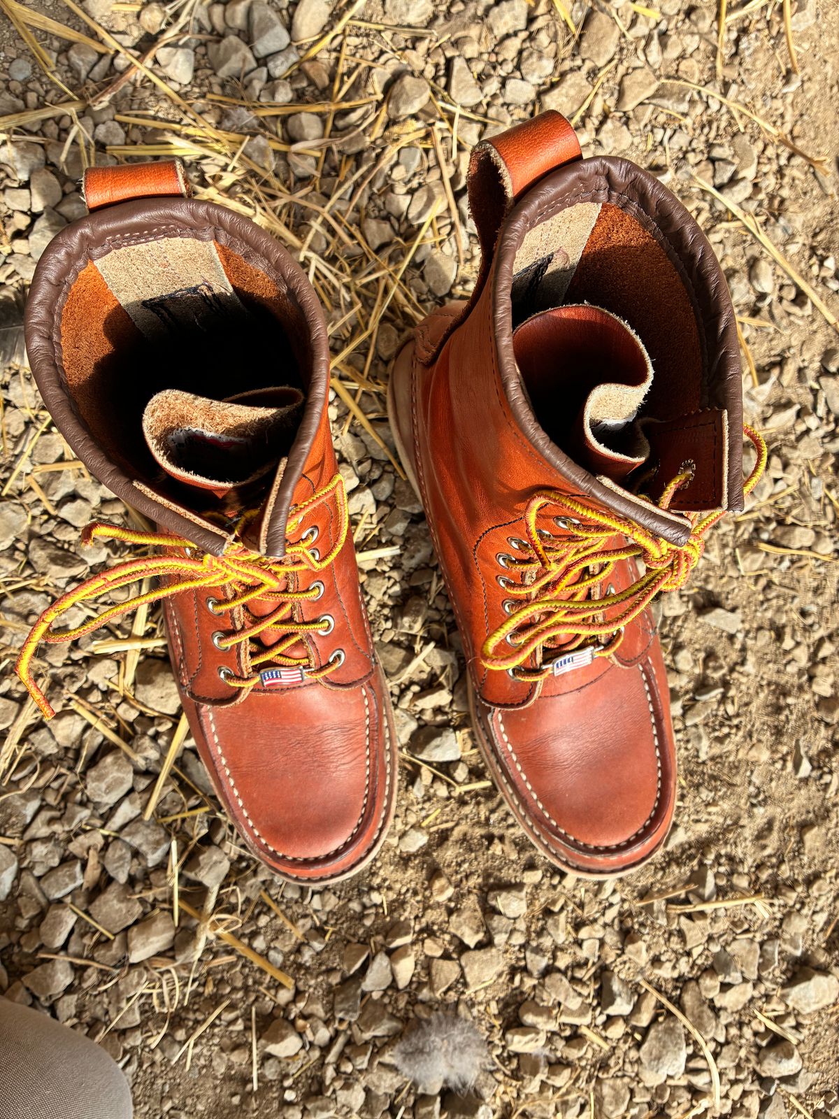 Photo by RedWingUser_05 on March 4, 2026 of the Red Wing 877 in S.B. Foot Oro Legacy.