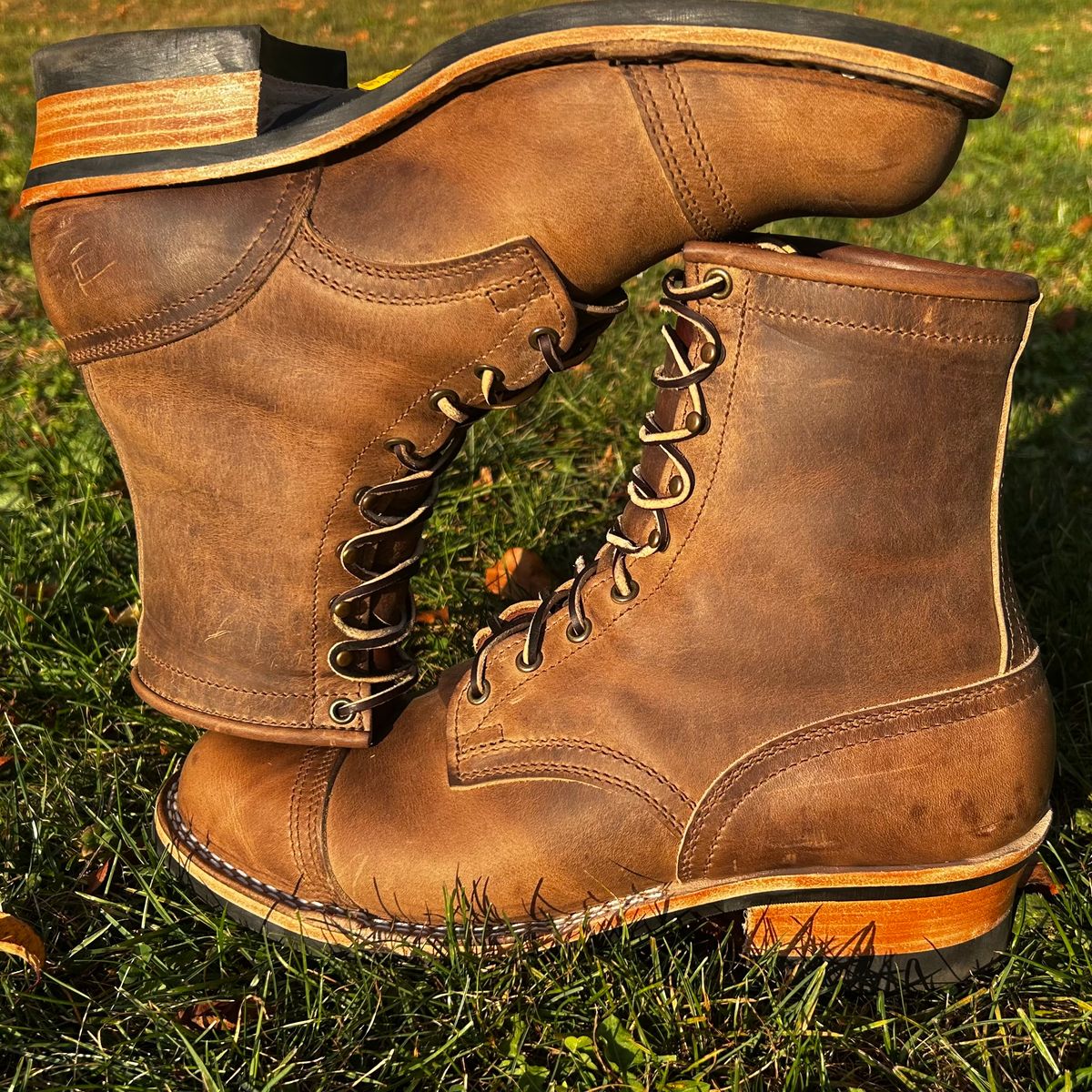 Photo by dyl on September 17, 2025 of the Nicks Custom Model in Horween Natural Predator.