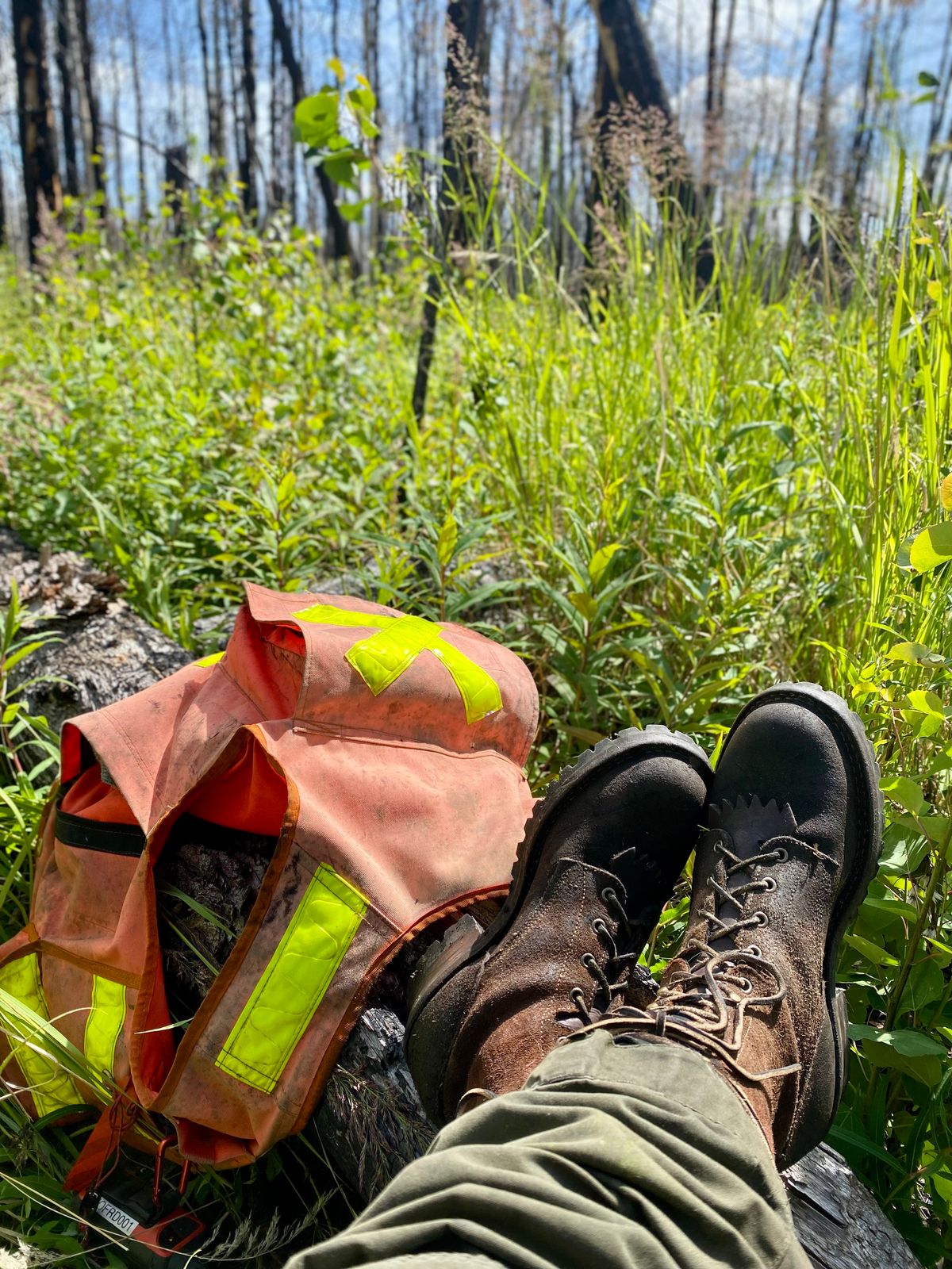Photo by Forester on July 9, 2025 of the DeVito Boot Co. 10” Bobtail Brown Roughout in Seidel Brown Oil Tan Roughout.