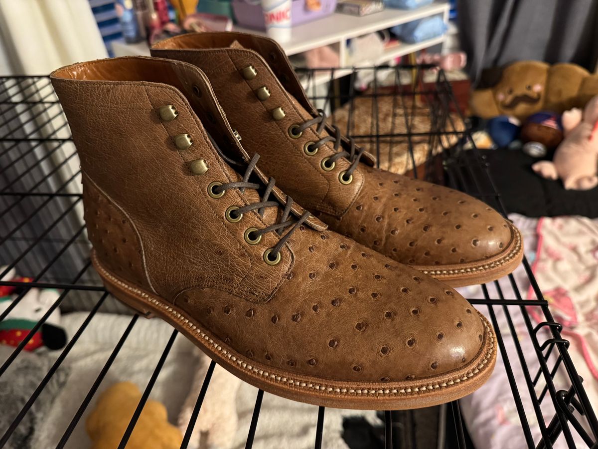 Photo by jmcmillan on May 26, 2025 of the Grant Stone Diesel Boot in Ranger Ostrich.