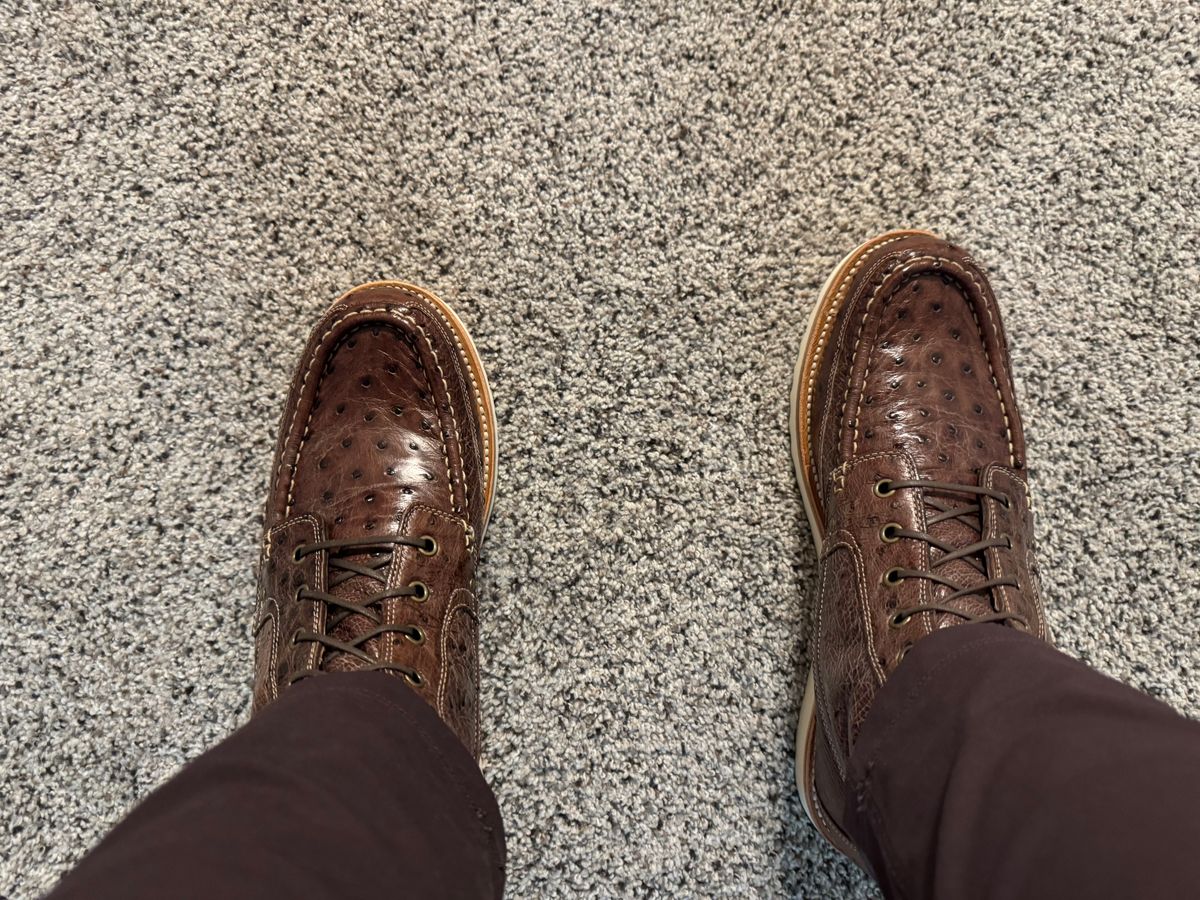 Photo by jmcmillan on July 10, 2025 of the Grant Stone Field Boot in Kango Tobacco Ostrich.