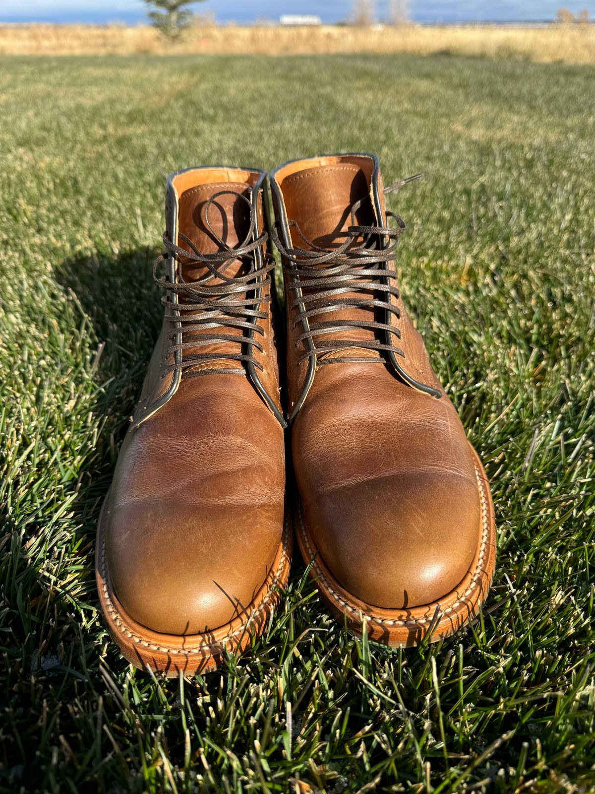 Photo by USMC_K9_VET on November 1, 2024 of the Viberg Service Boot in Camel Oiled Calf.