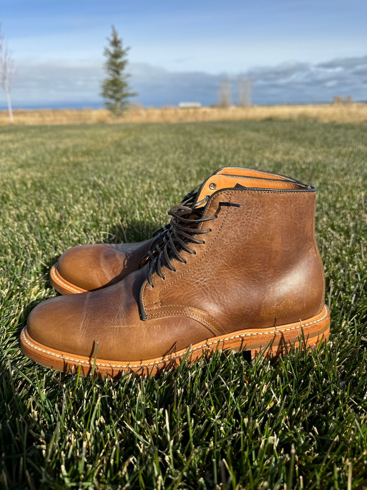 Photo by USMC_K9_VET on November 1, 2024 of the Viberg Service Boot in Camel Oiled Calf.