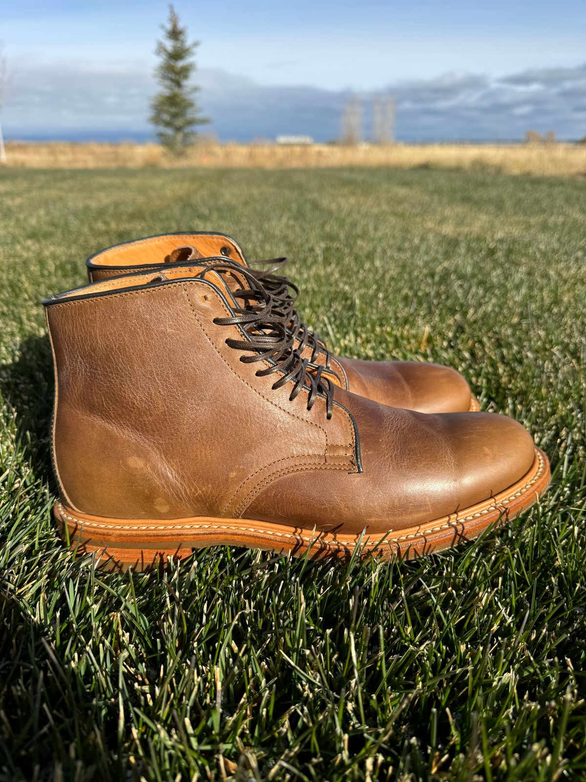 Photo by USMC_K9_VET on November 1, 2024 of the Viberg Service Boot in Camel Oiled Calf.
