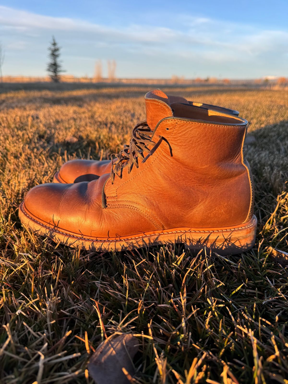 Photo by USMC_K9_VET on December 3, 2024 of the Viberg Service Boot in Camel Oiled Calf.