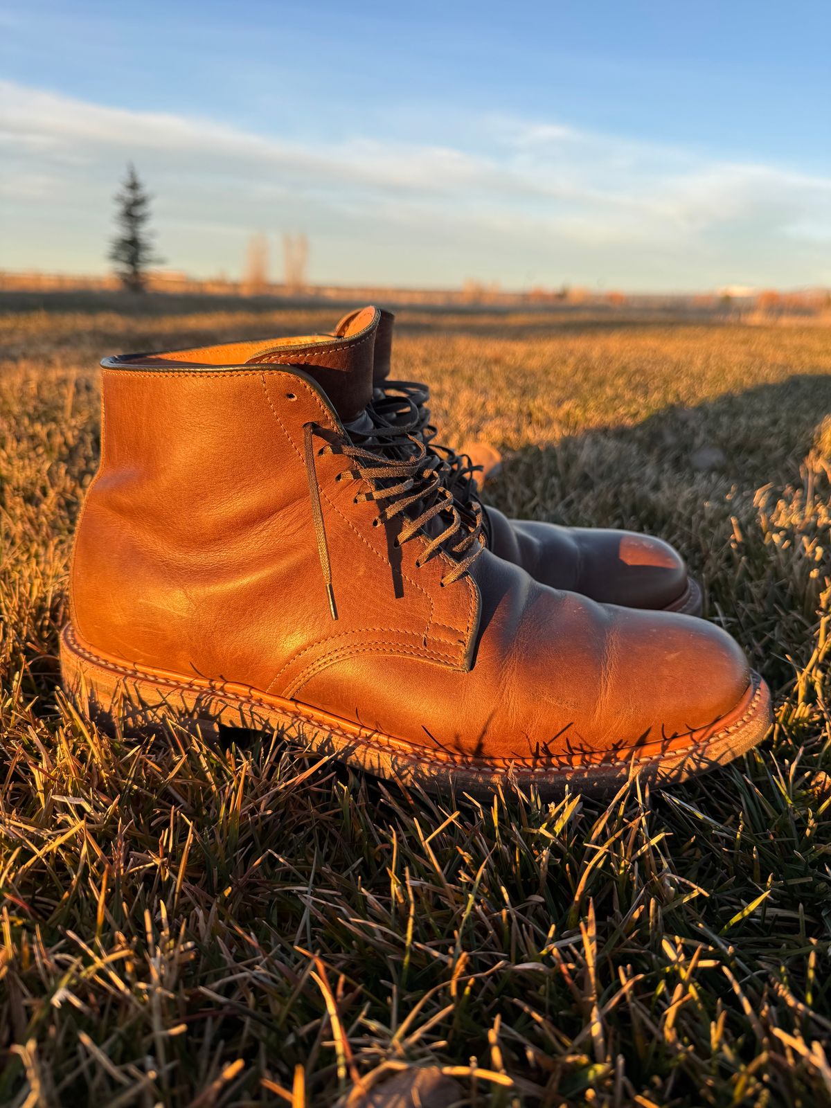Photo by USMC_K9_VET on December 3, 2024 of the Viberg Service Boot in Camel Oiled Calf.