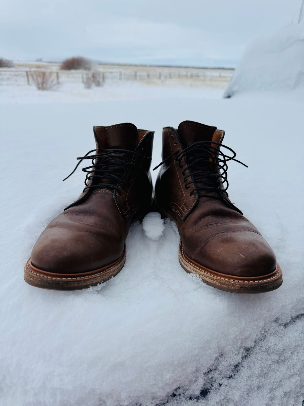 Photo by USMC_K9_VET on December 15, 2024 of the Viberg Service Boot in Camel Oiled Calf.