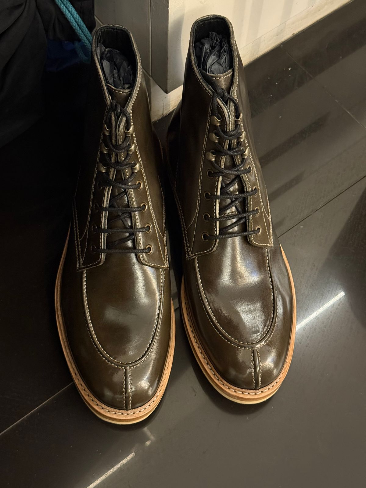 Photo by vishhh on April 2, 2026 of the Blkbrd Shoemaker Fred in Maryam Salvia Horsebutt.