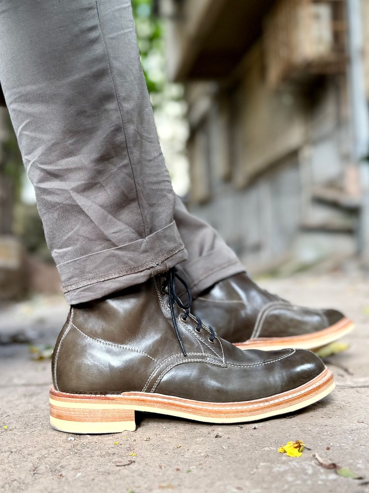 Photo by vishhh on April 2, 2026 of the Blkbrd Shoemaker Fred in Maryam Salvia Horsebutt.