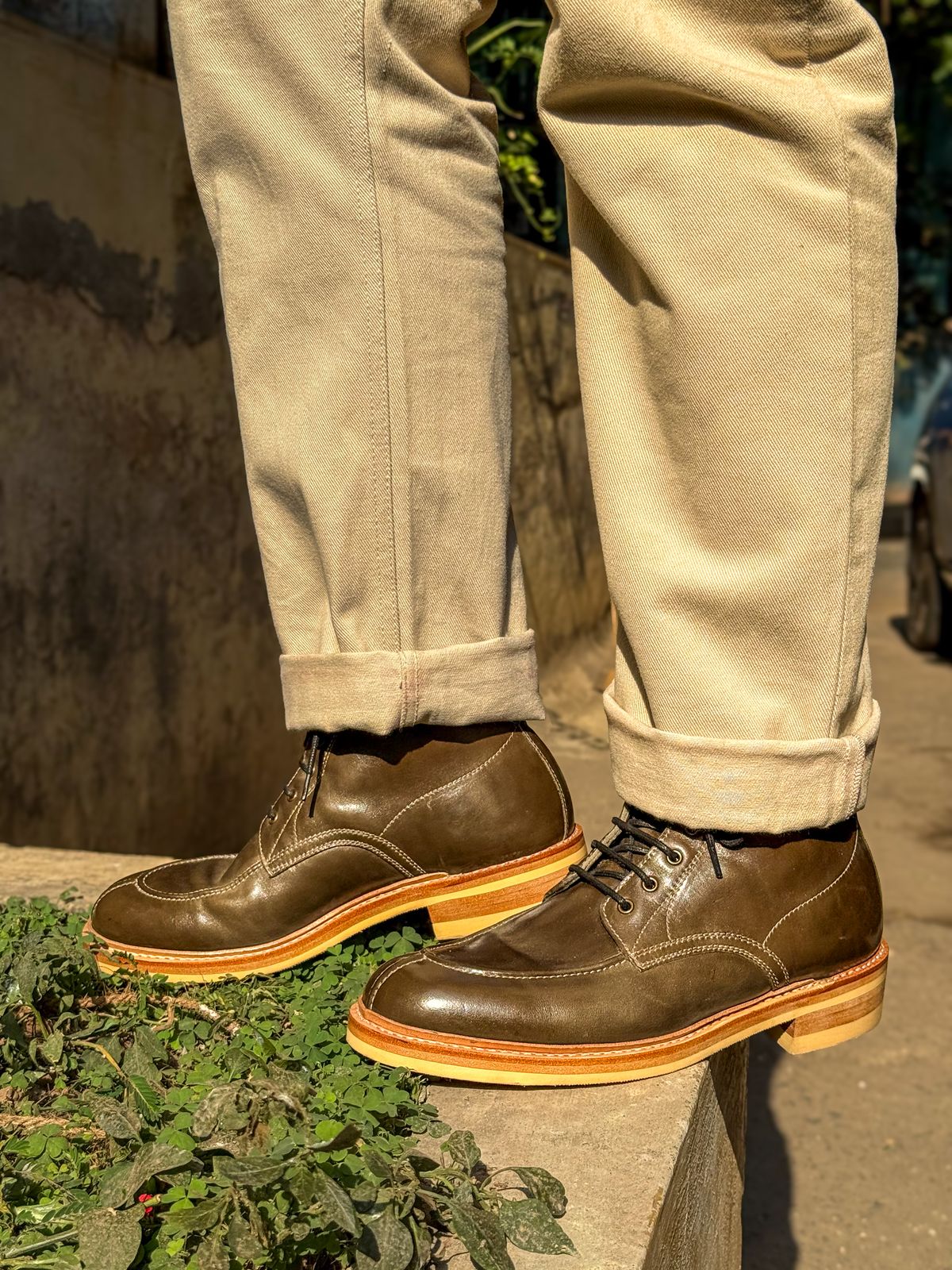 Photo by vishhh on April 3, 2026 of the Blkbrd Shoemaker Fred in Maryam Salvia Horsebutt.