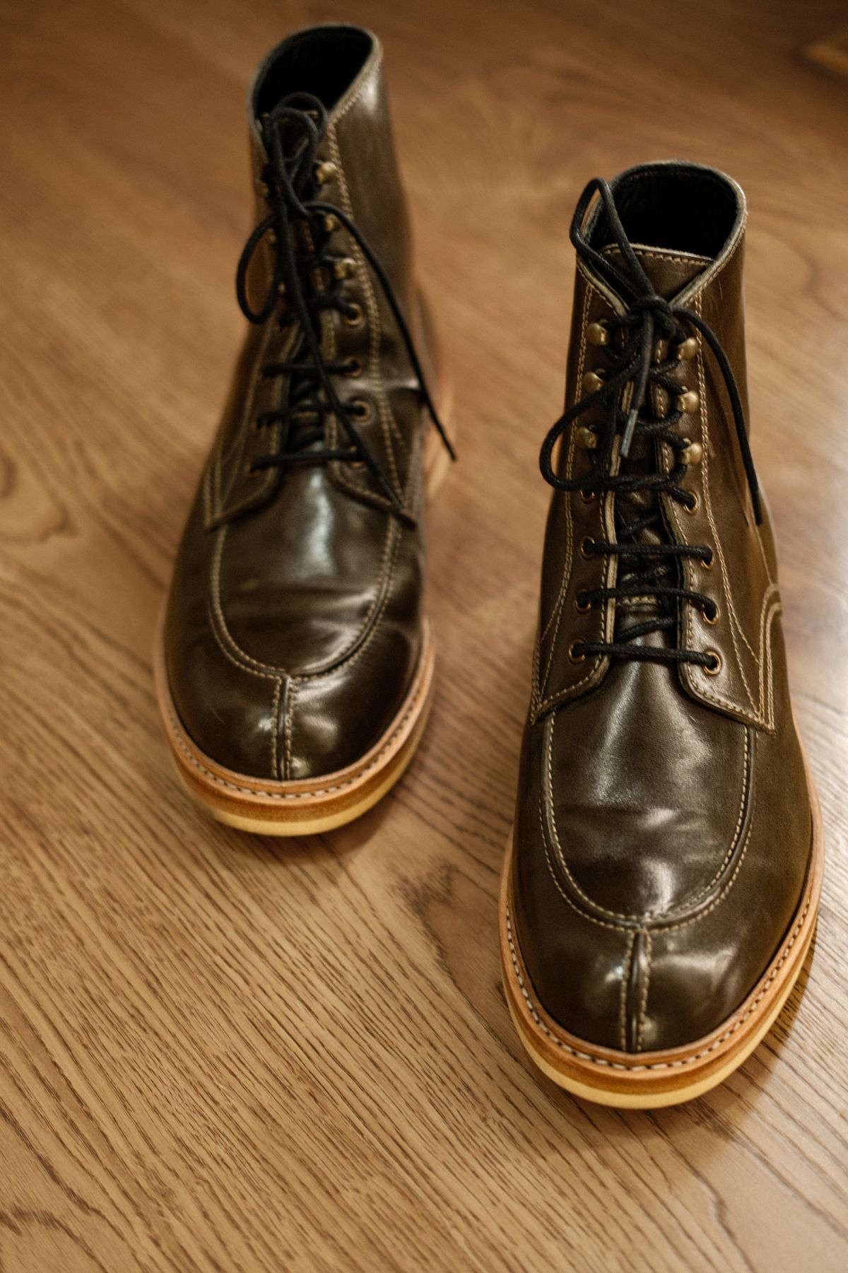 Photo by vishhh on April 9, 2026 of the Blkbrd Shoemaker Fred in Maryam Salvia Horsebutt.