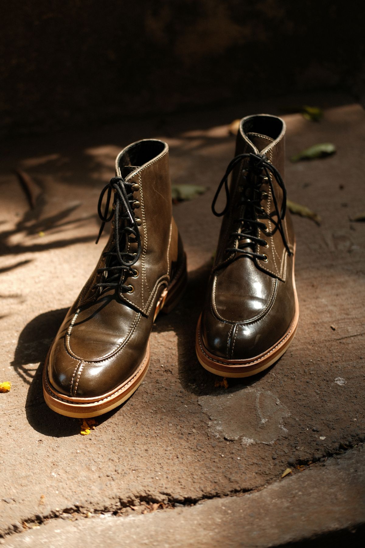 Photo by vishhh on April 26, 2026 of the Blkbrd Shoemaker Fred in Maryam Salvia Horsebutt.