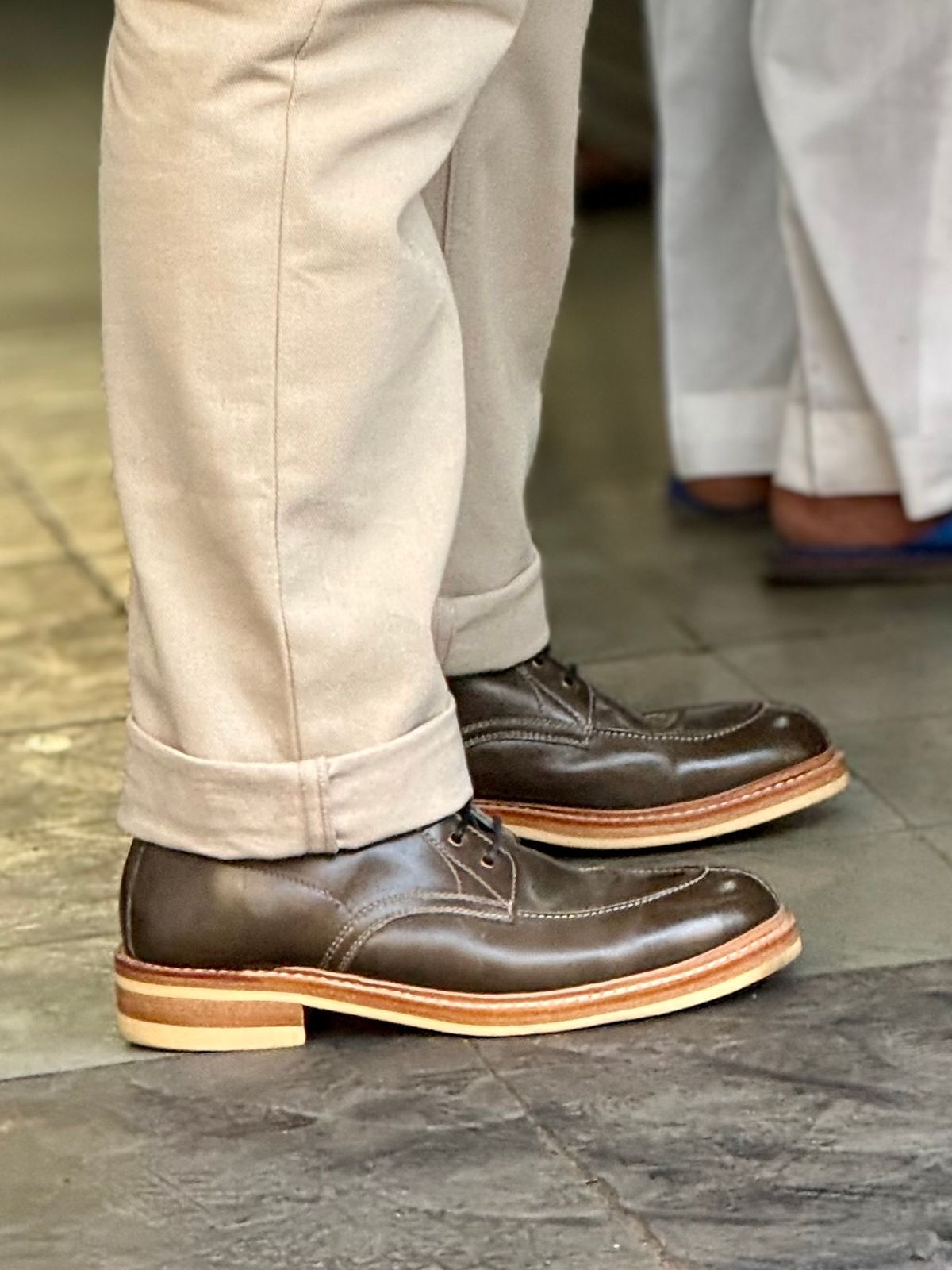 Photo by vishhh on May 9, 2026 of the Blkbrd Shoemaker Fred in Maryam Salvia Horsebutt.