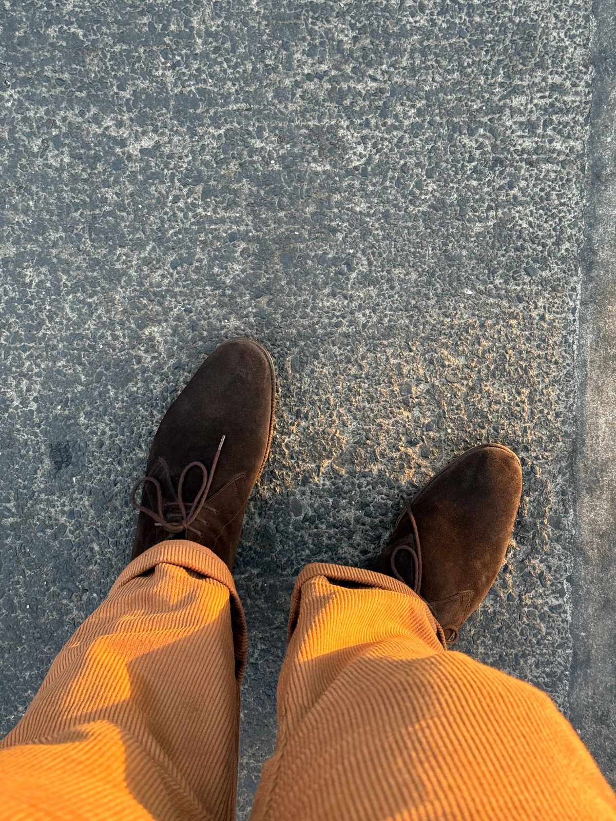 Photo by vishhh on May 17, 2026 of the Bridlen Unlined Chukka boot in C.F. Stead Chocolate Janus Calf Suede.