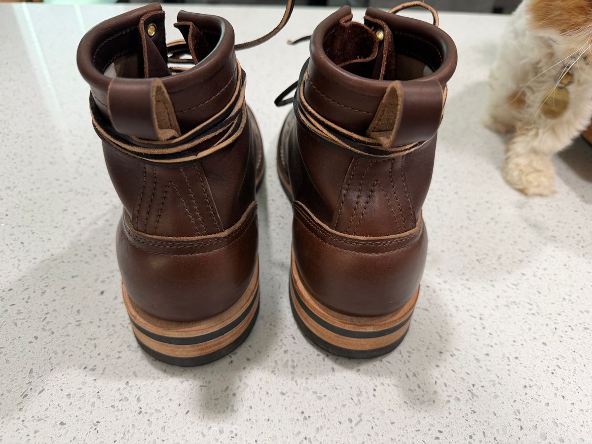 Photo by dabe2297 on June 2, 2026 of the Nicks Falcon in Horween Brown Chromexcel.