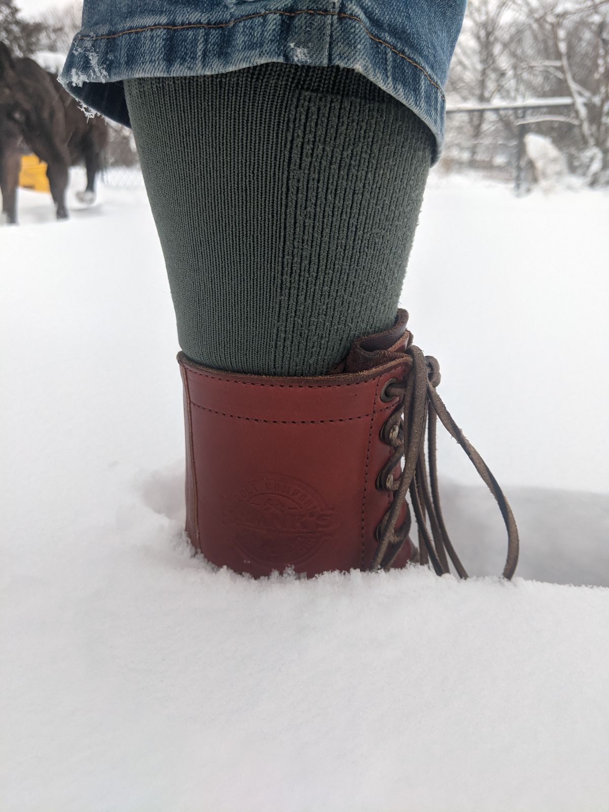 Photo by evsnova74 on January 6, 2025 of the Frank's Boots Front Range in Wickett & Craig Chestnut English Bridle.