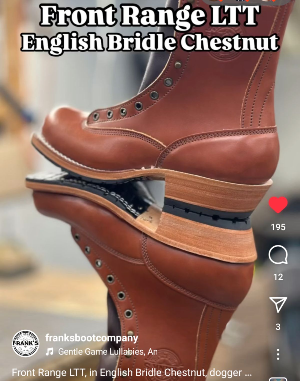 Photo by evsnova74 on April 12, 2025 of the Frank's Boots Front Range in Wickett & Craig Chestnut English Bridle.