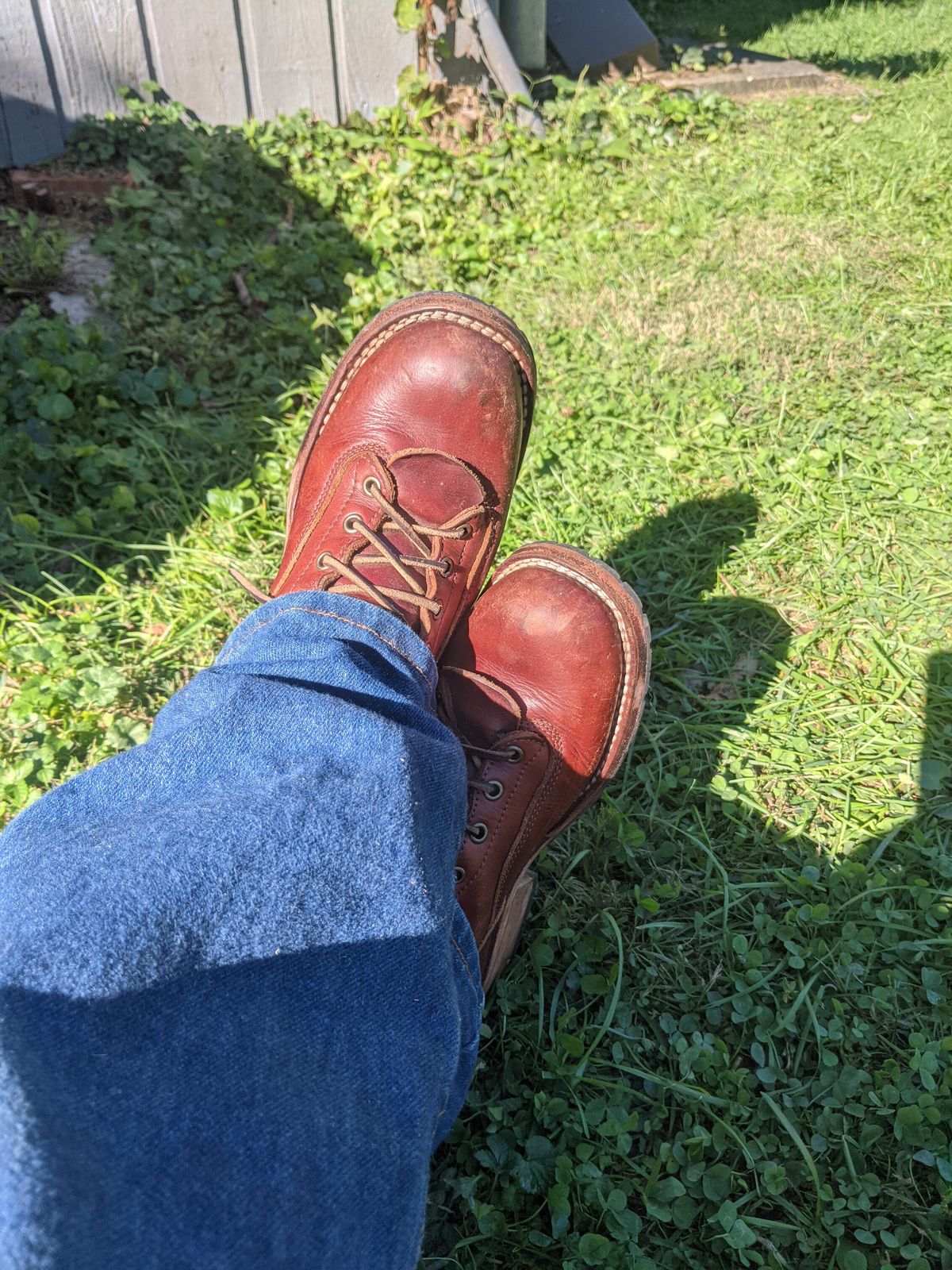Photo by evsnova74 on October 9, 2025 of the Frank's Boots Front Range in Wickett & Craig Chestnut English Bridle.