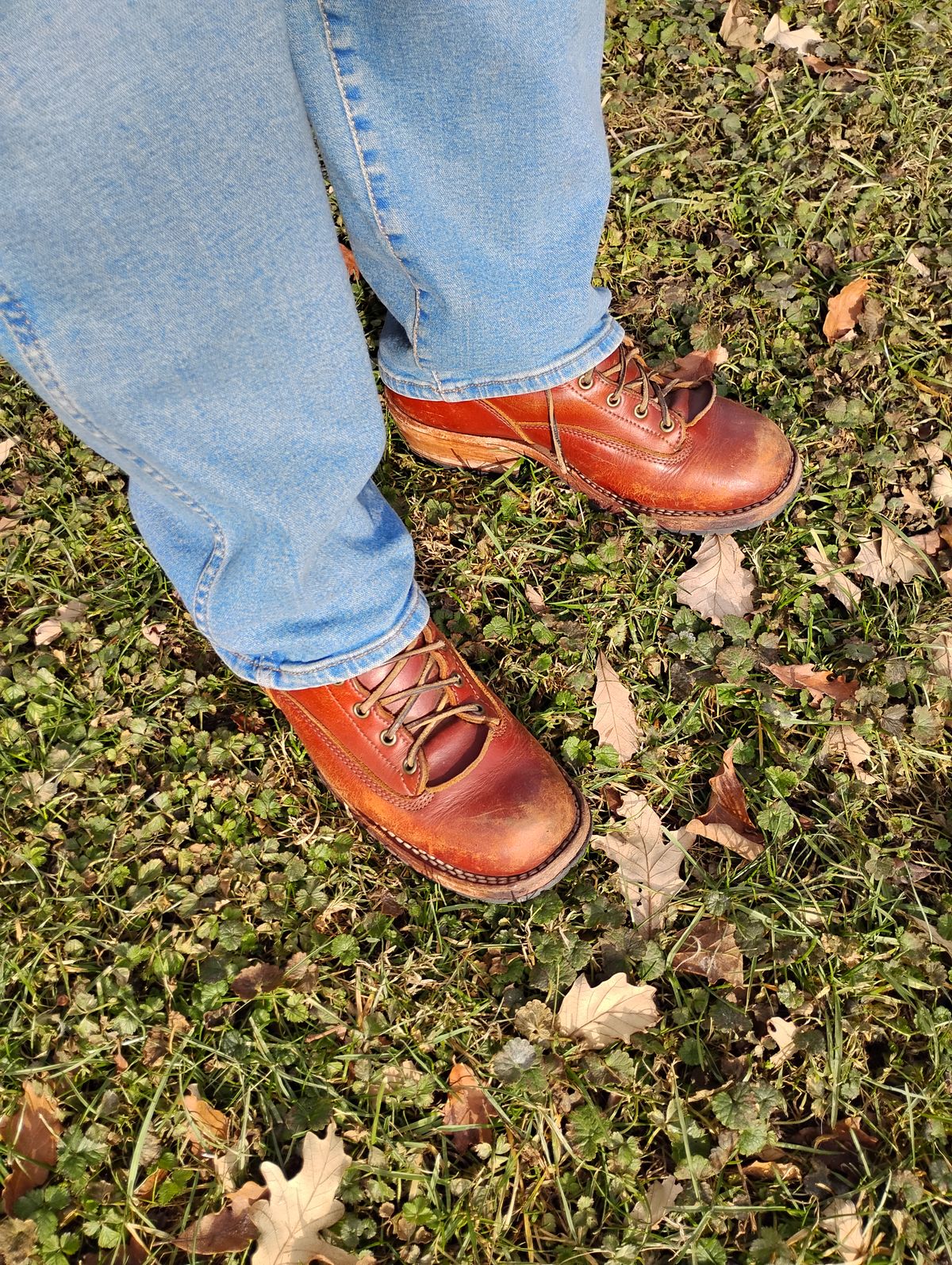 Photo by evsnova74 on January 3, 2026 of the Frank's Boots Front Range in Wickett & Craig Chestnut English Bridle.