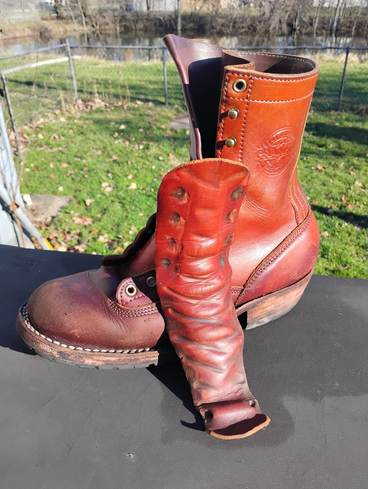 Photo by evsnova74 on March 9, 2026 of the Frank's Boots Front Range in Wickett & Craig Chestnut English Bridle.