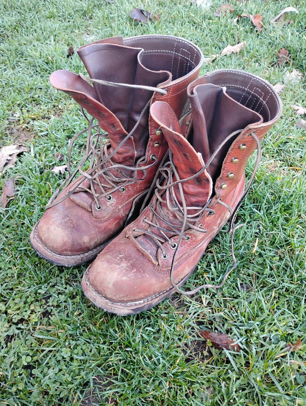 Photo by evsnova74 on March 9, 2026 of the Frank's Boots Front Range in Wickett & Craig Chestnut English Bridle.