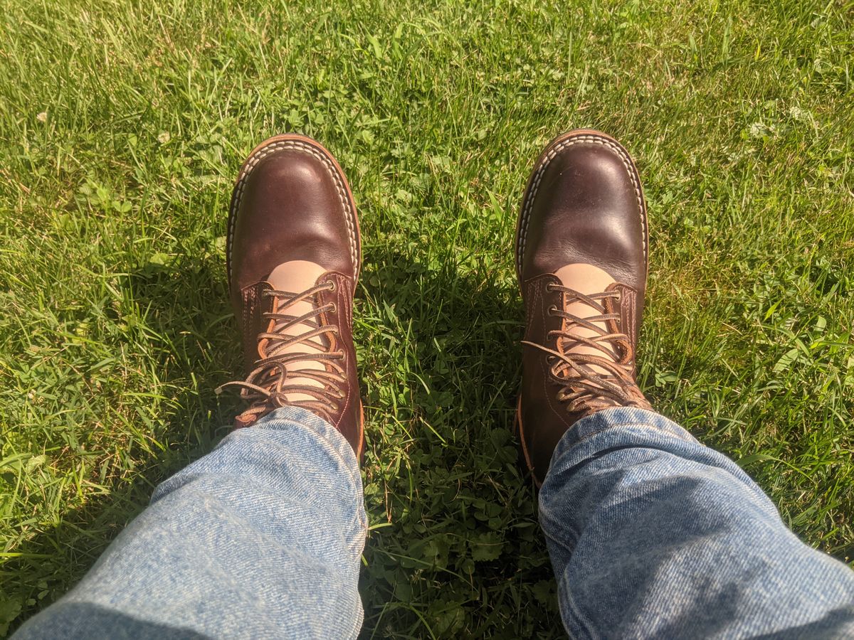 Photo by evsnova74 on July 1, 2025 of the Frank's Boots Wilshire in Seidel Brown Domain.