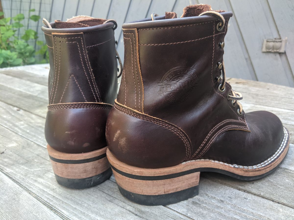 Photo by evsnova74 on July 1, 2025 of the Frank's Boots Wilshire in Seidel Brown Domain.