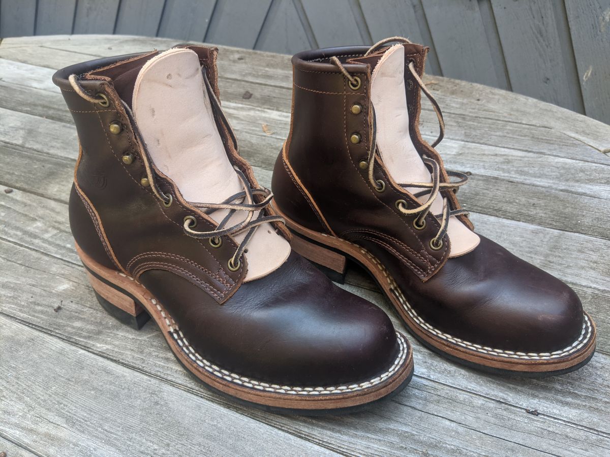 Photo by evsnova74 on July 1, 2025 of the Frank's Boots Wilshire in Seidel Brown Domain.