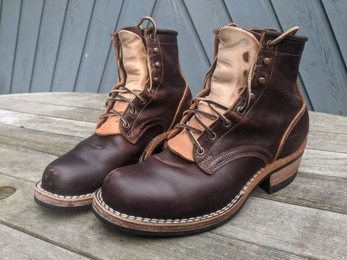 Photo by evsnova74 on August 2, 2025 of the Frank's Boots Wilshire in Seidel Brown Domain.