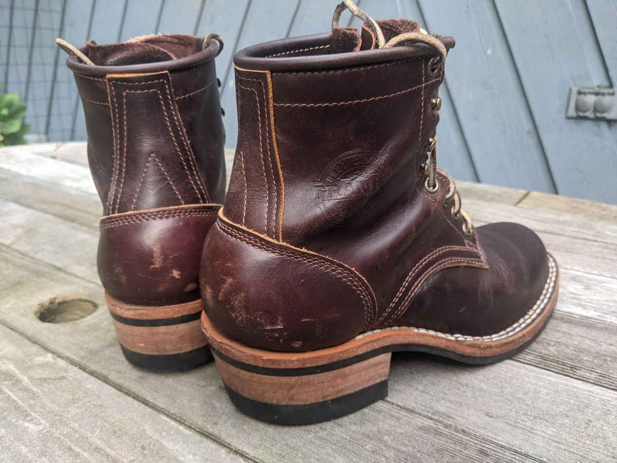 Photo by evsnova74 on August 2, 2025 of the Frank's Boots Wilshire in Seidel Brown Domain.