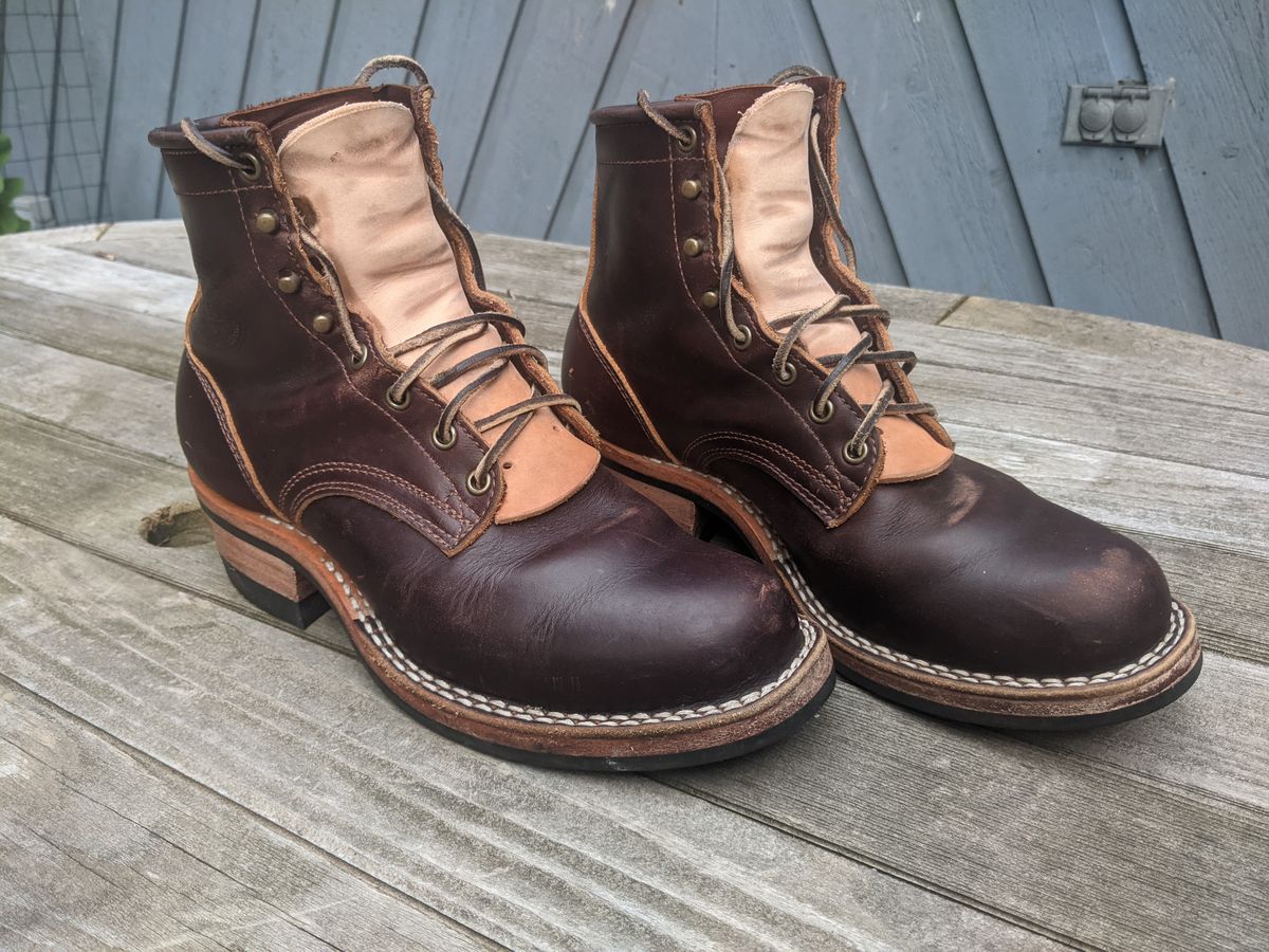 Photo by evsnova74 on August 2, 2025 of the Frank's Boots Wilshire in Seidel Brown Domain.