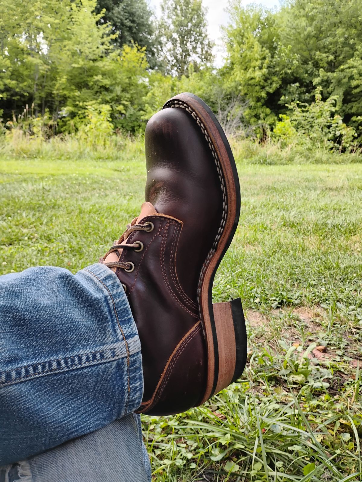 Photo by evsnova74 on July 20, 2025 of the Frank's Boots Wilshire in Seidel Brown Domain.