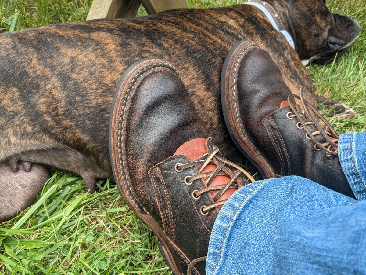 Photo by evsnova74 on August 31, 2024 of the White's 350 Cruiser in Horween Dark Brown Waxed Flesh.