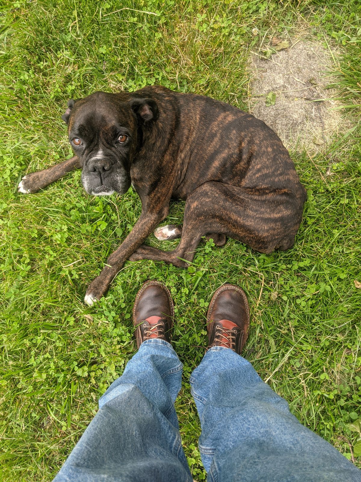 Photo by evsnova74 on May 25, 2025 of the White's 350 Cruiser in Horween Dark Brown Waxed Flesh.