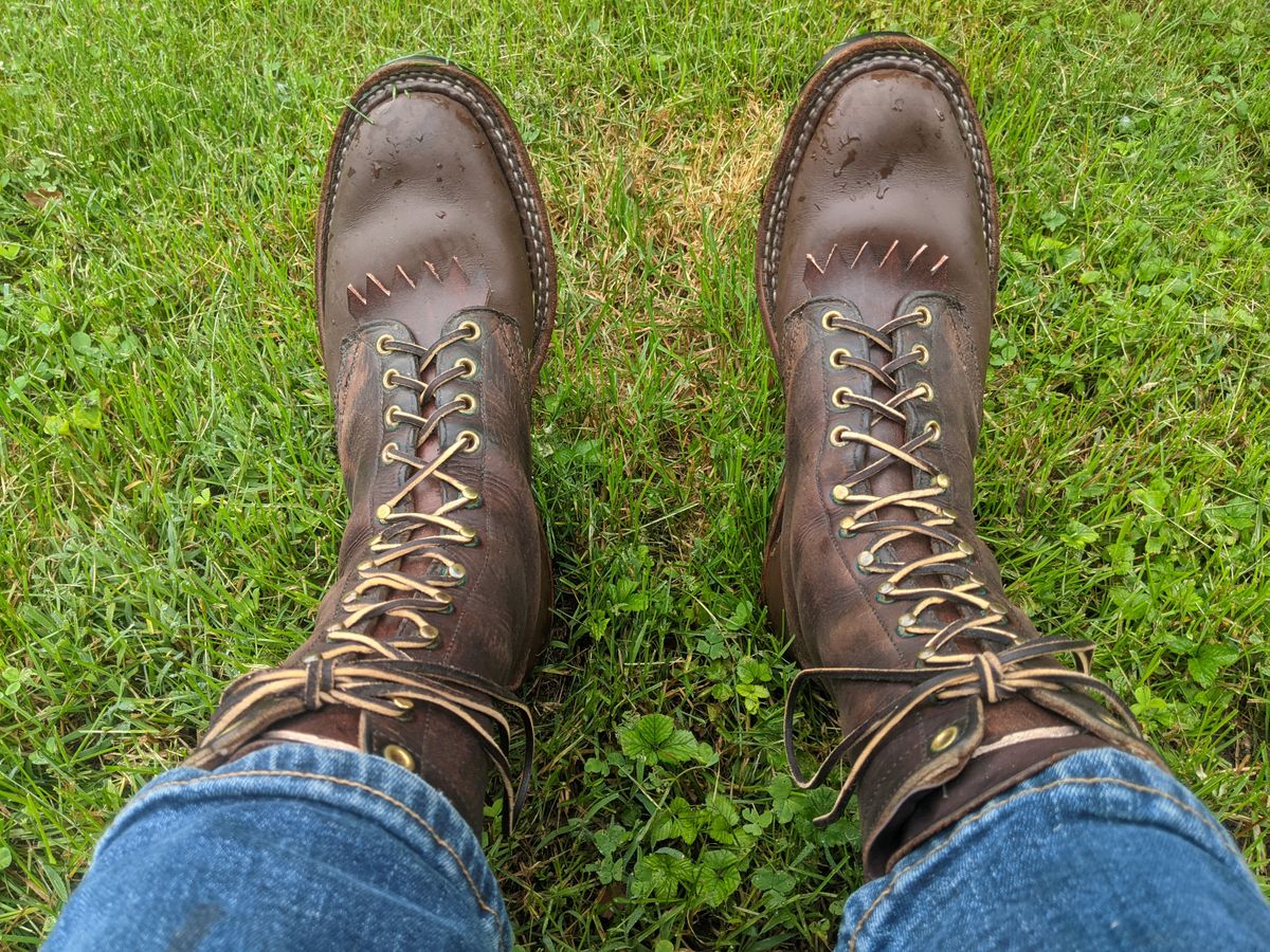 Photo by evsnova74 on May 24, 2024 of the White's Packer in Seidel Brown Oil Tan.