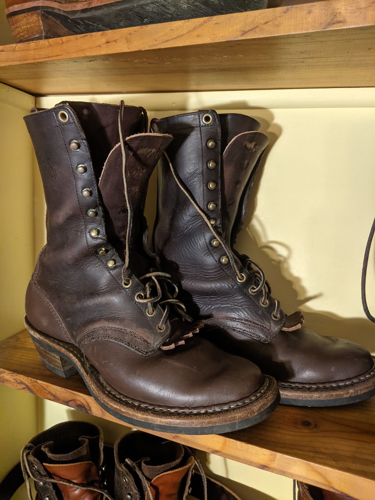 Photo by evsnova74 on January 3, 2025 of the White's Packer in Seidel Brown Oil Tan.