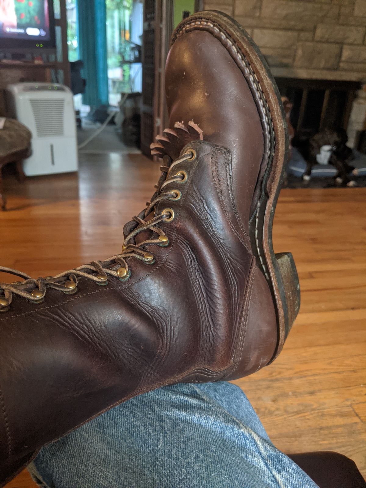 Photo by evsnova74 on June 9, 2025 of the White's Packer in Seidel Brown Oil Tan.