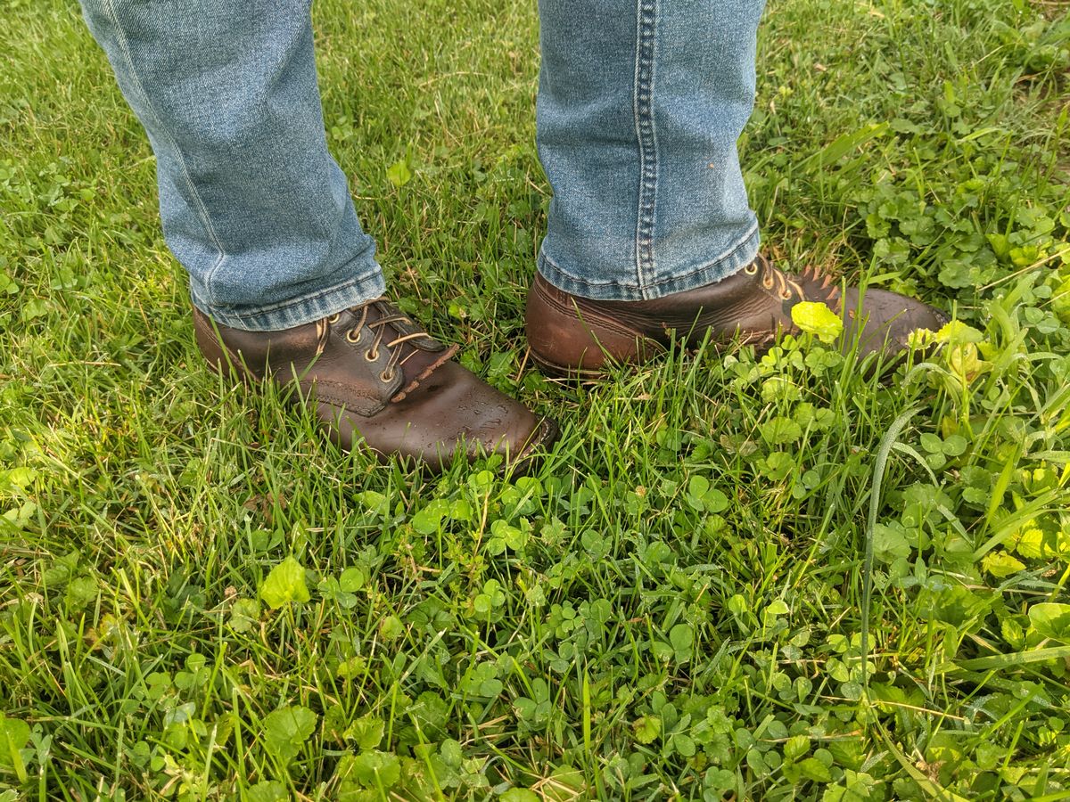 Photo by evsnova74 on June 12, 2025 of the White's Packer in Seidel Brown Oil Tan.