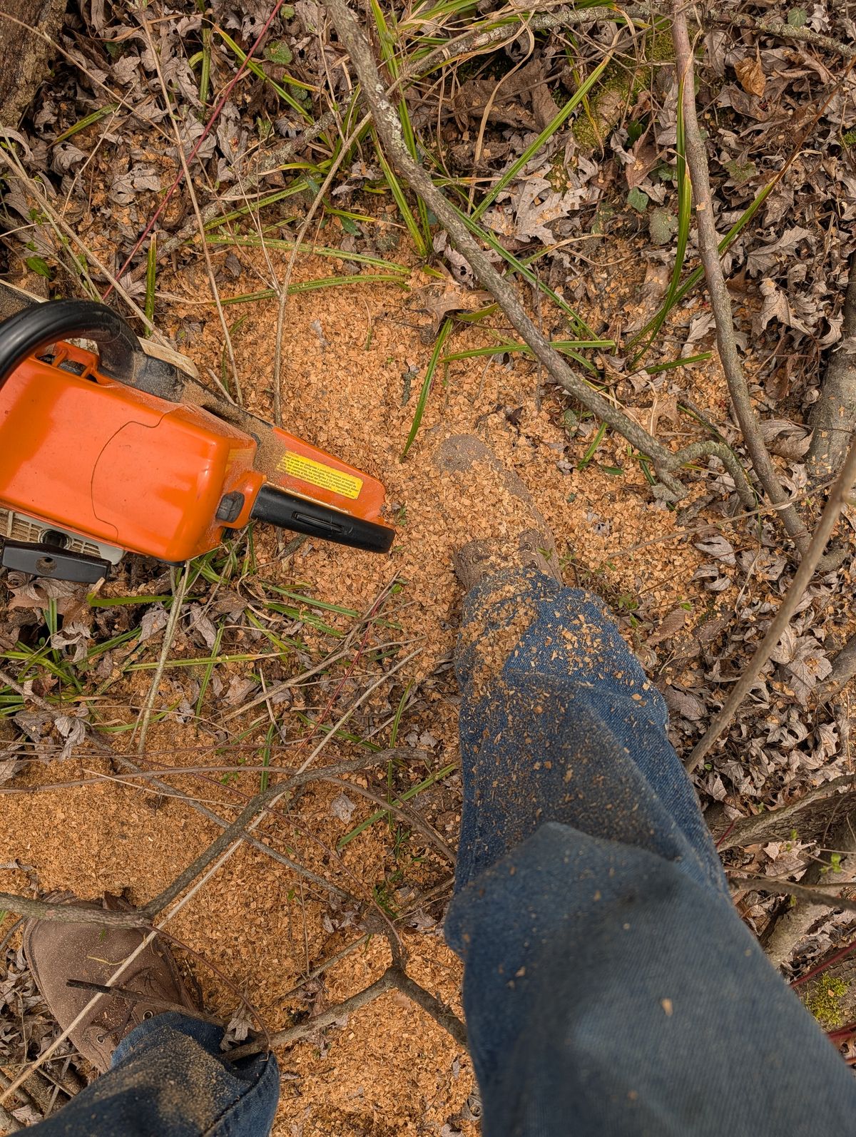 Photo by evsnova74 on March 14, 2026 of the Self-Made Custom Model in S.B. Foot Itasca Chestnut.