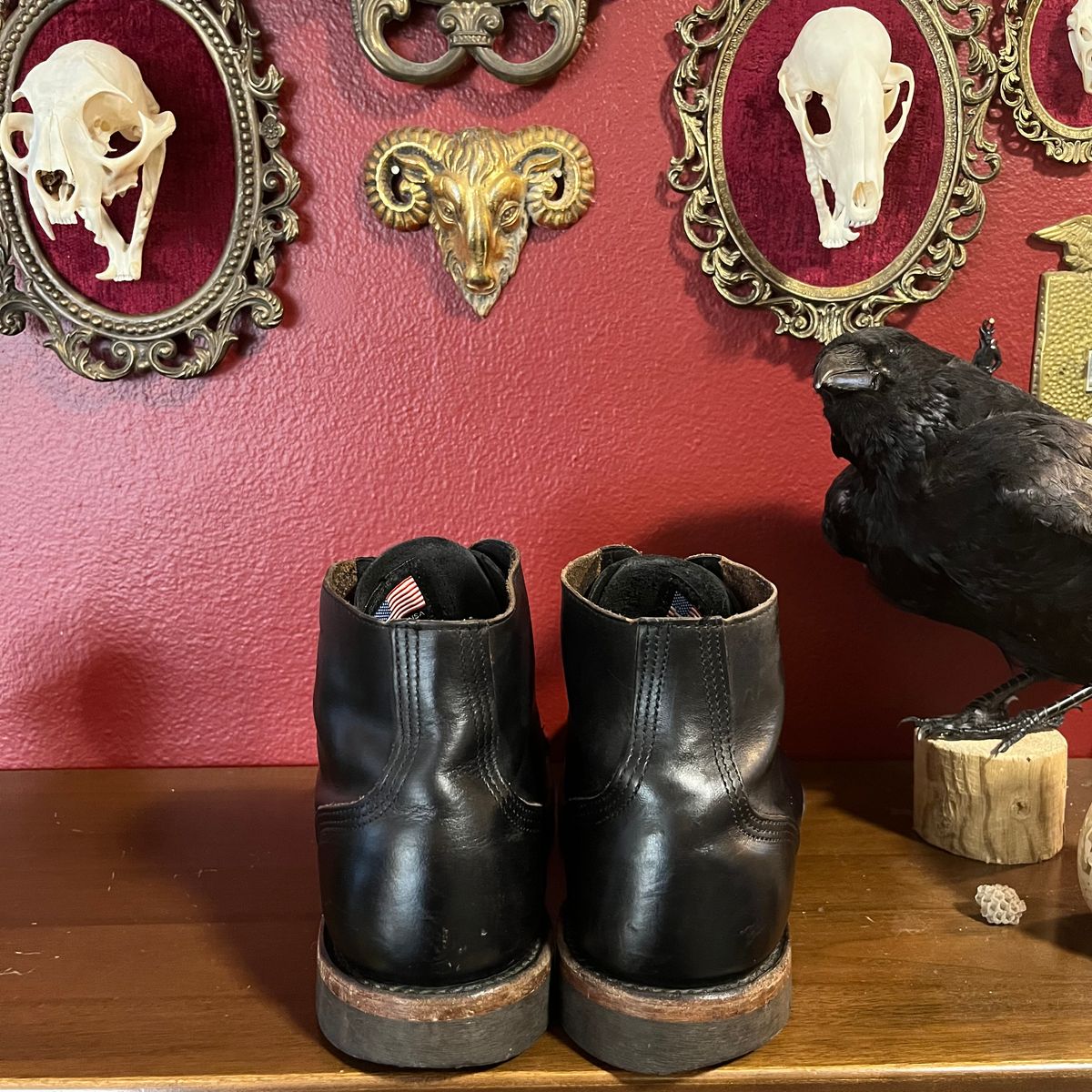 Photo by Ace_Crow_666 on October 3, 2025 of the Thorogood Dodgeville in Horween Black Chromexcel.