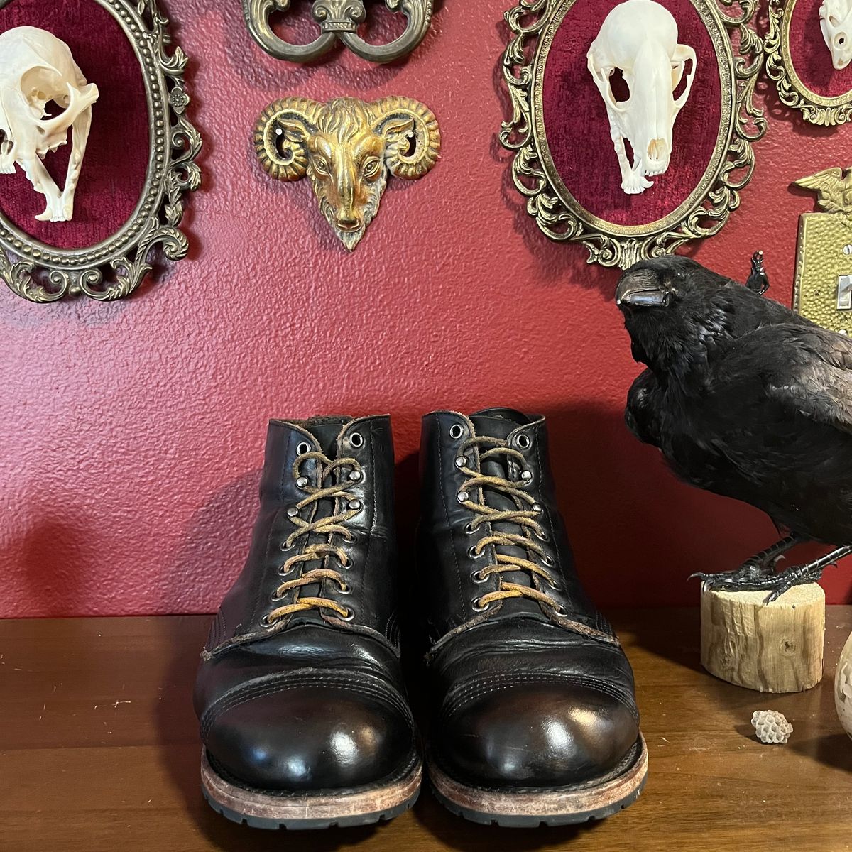 Photo by Ace_Crow_666 on October 3, 2025 of the Thorogood Dodgeville in Horween Black Chromexcel.
