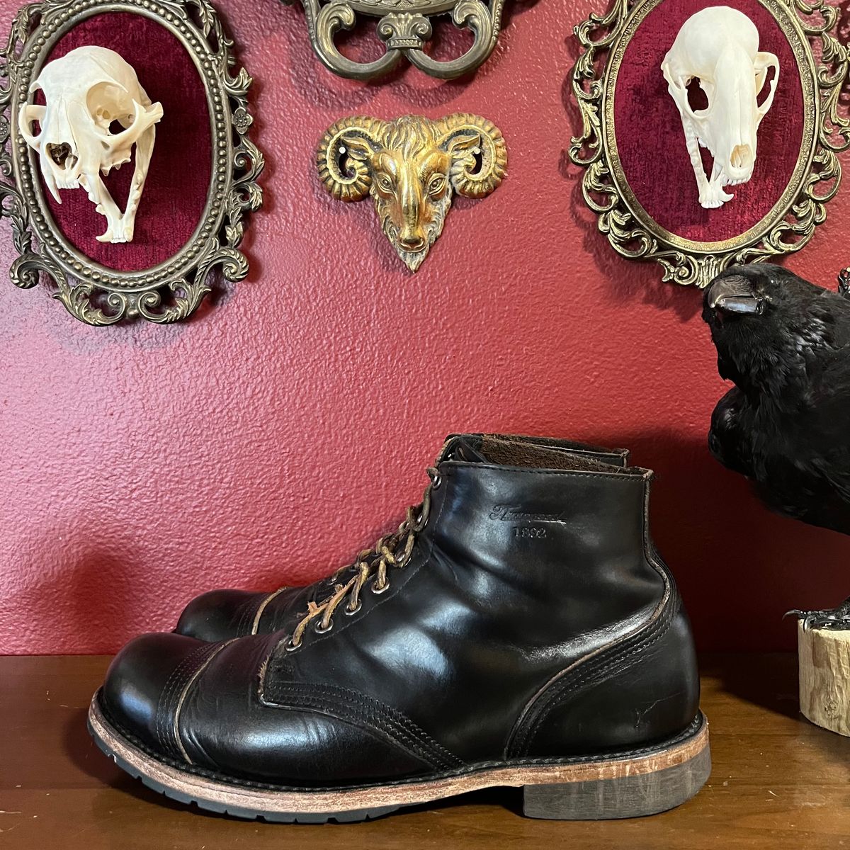 Photo by Ace_Crow_666 on October 3, 2025 of the Thorogood Dodgeville in Horween Black Chromexcel.