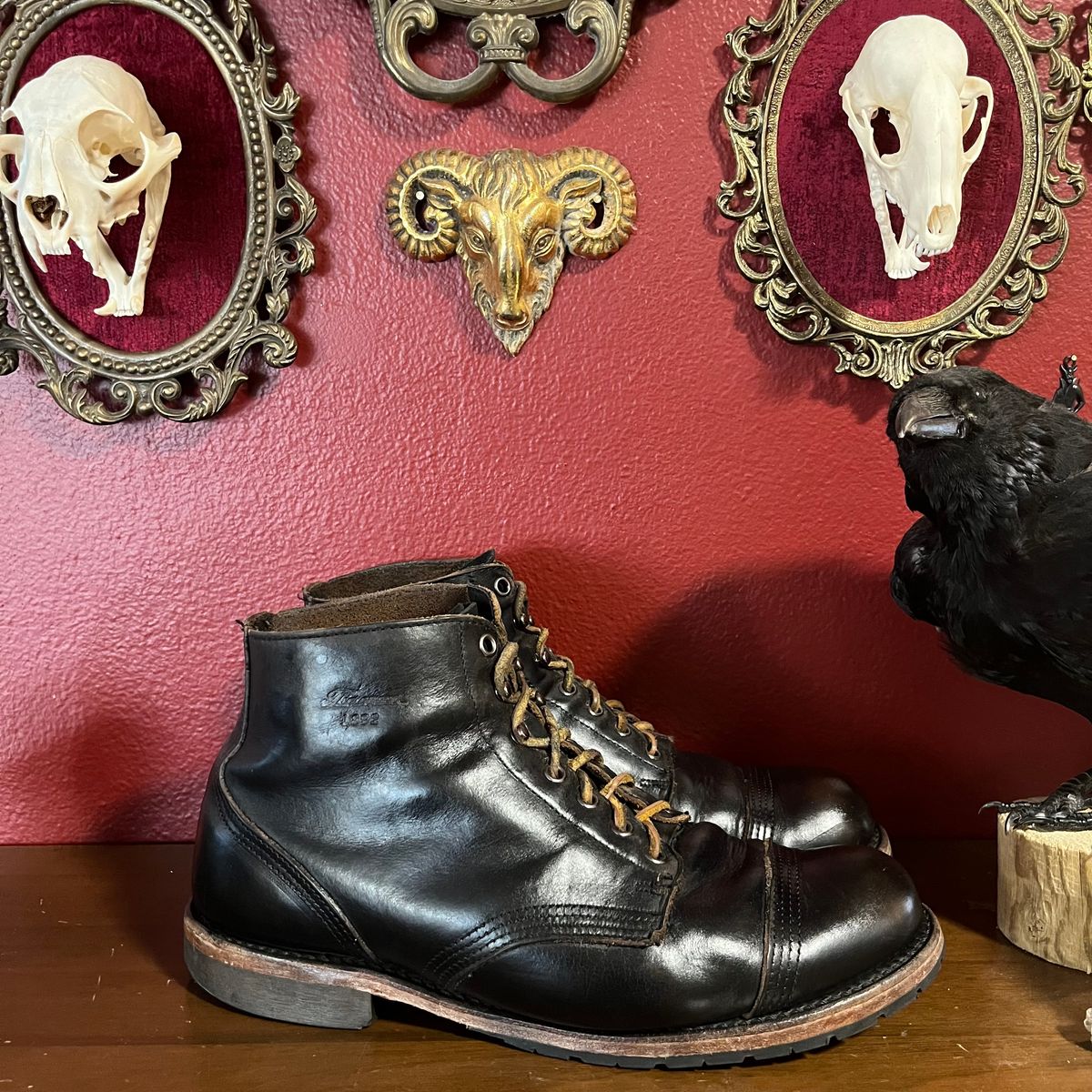 Photo by Ace_Crow_666 on October 3, 2025 of the Thorogood Dodgeville in Horween Black Chromexcel.