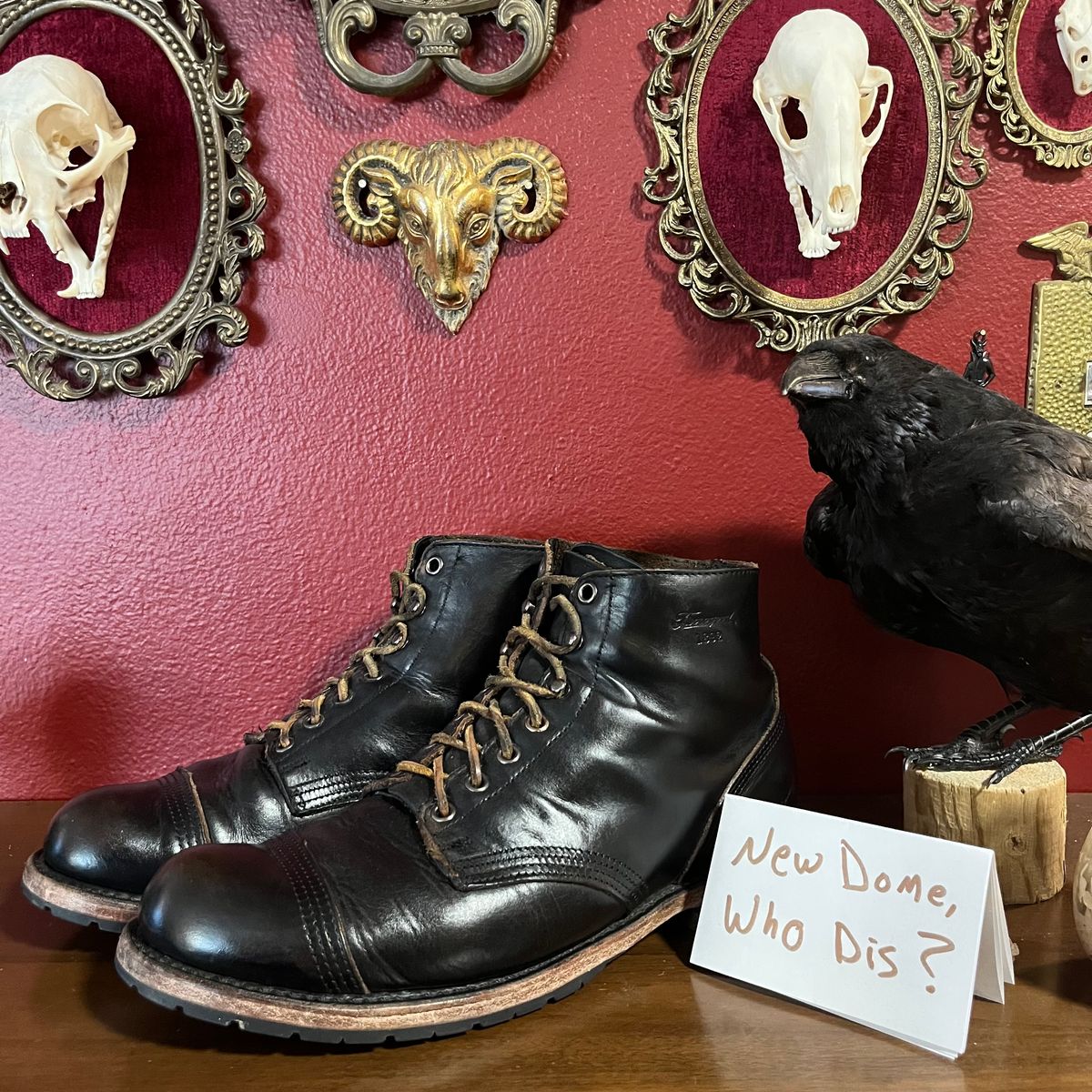 Photo by Ace_Crow_666 on October 3, 2025 of the Thorogood Dodgeville in Horween Black Chromexcel.