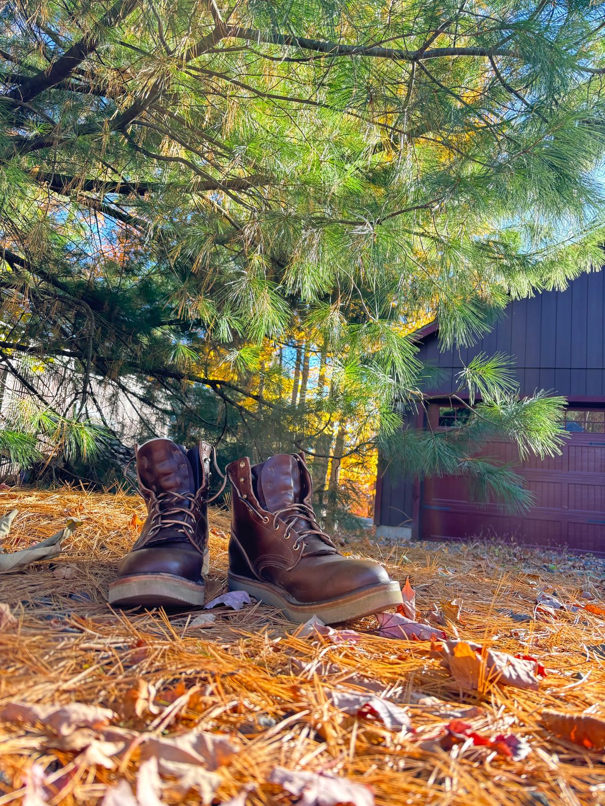 Photo by ohherewego on October 20, 2024 of the Nicks Free Range in Horween British Tan Chromexcel.