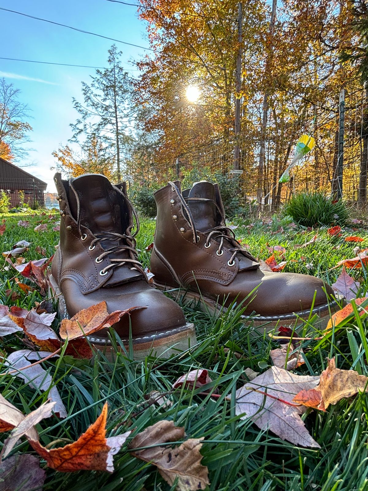 Photo by ohherewego on November 1, 2024 of the Nicks Free Range in Horween British Tan Chromexcel.