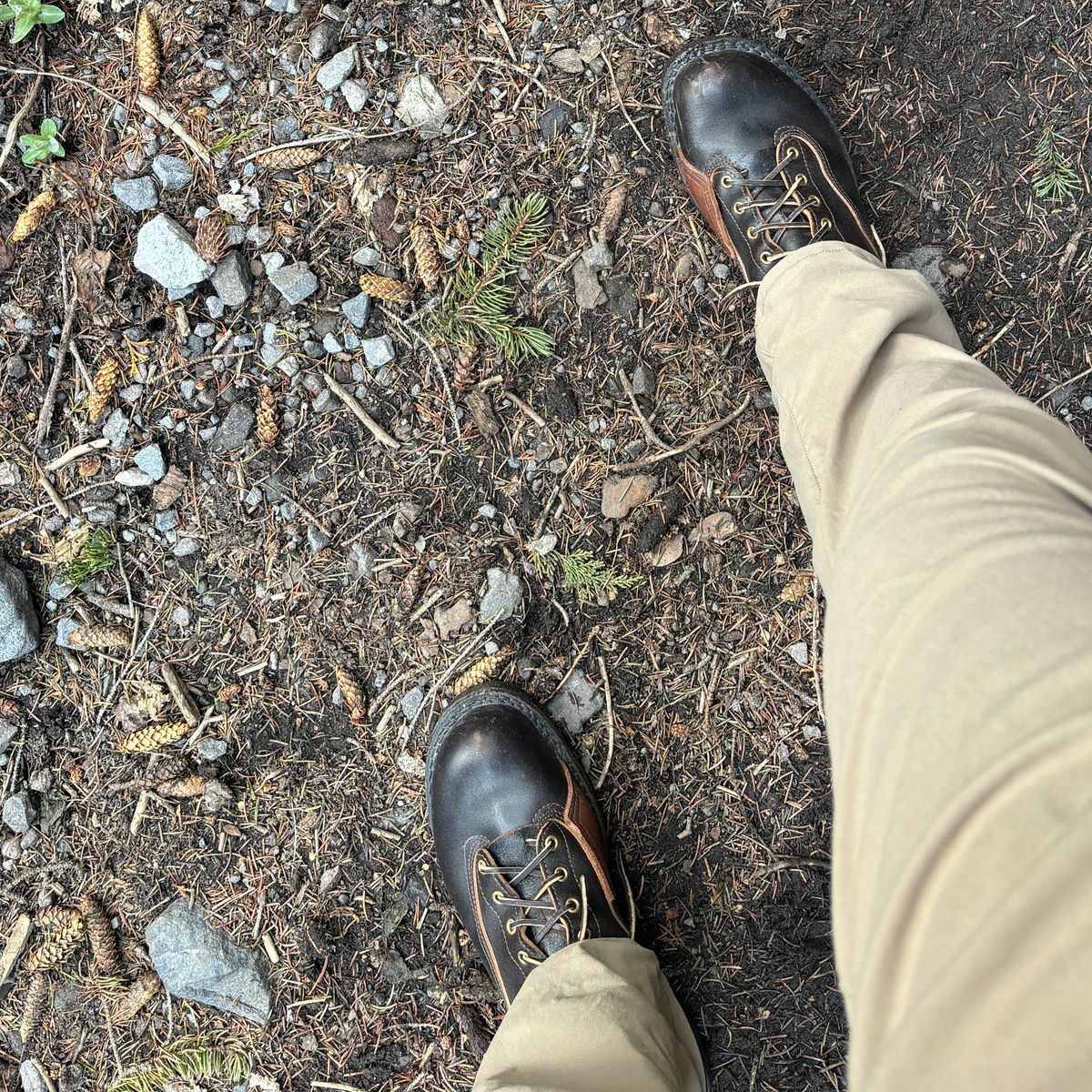 Photo by jeff on June 13, 2024 of the Nicks x Rose Anvil ND3 in Horween Brown Waxed Flesh.